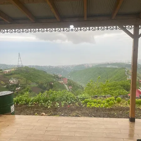 Doga Ve Deniz Manzarali *